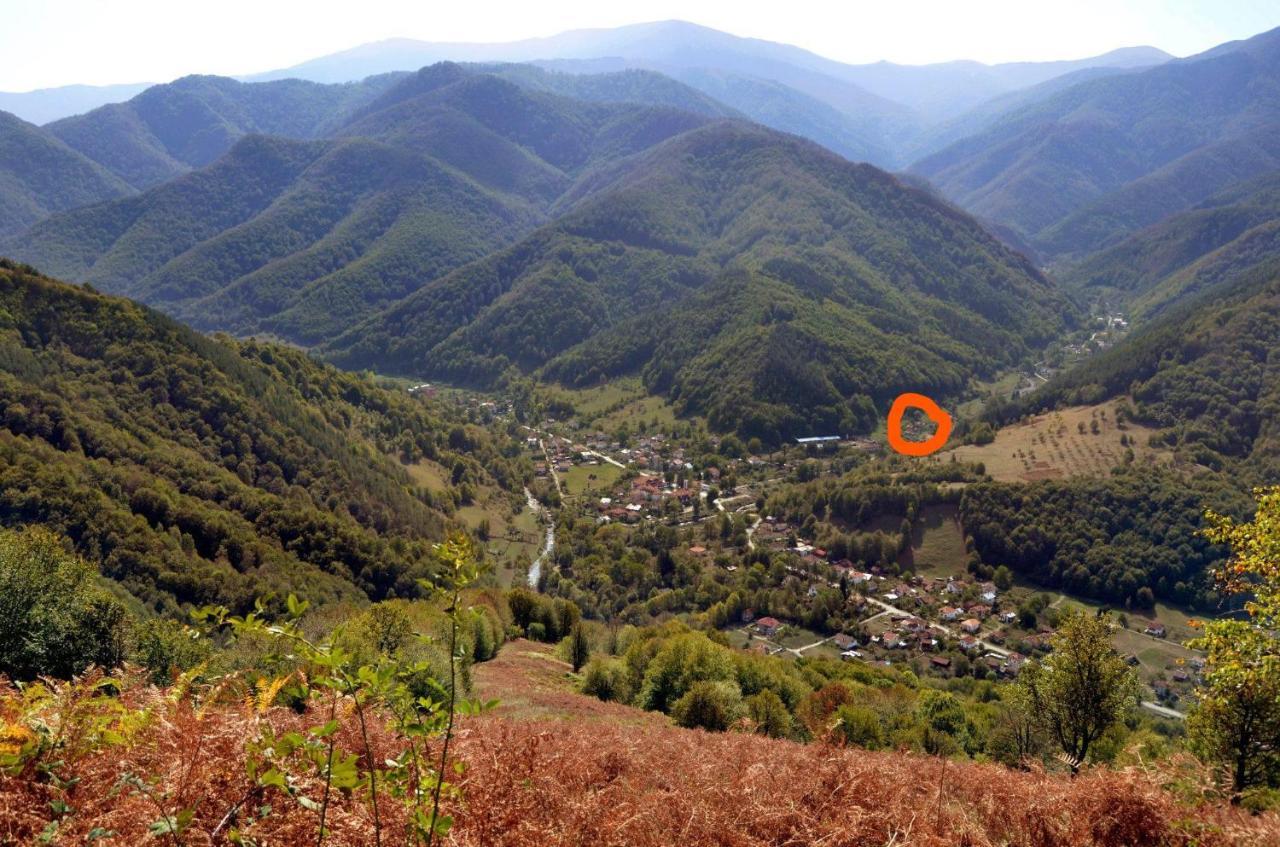 Вила Даяна Ribarica Εξωτερικό φωτογραφία