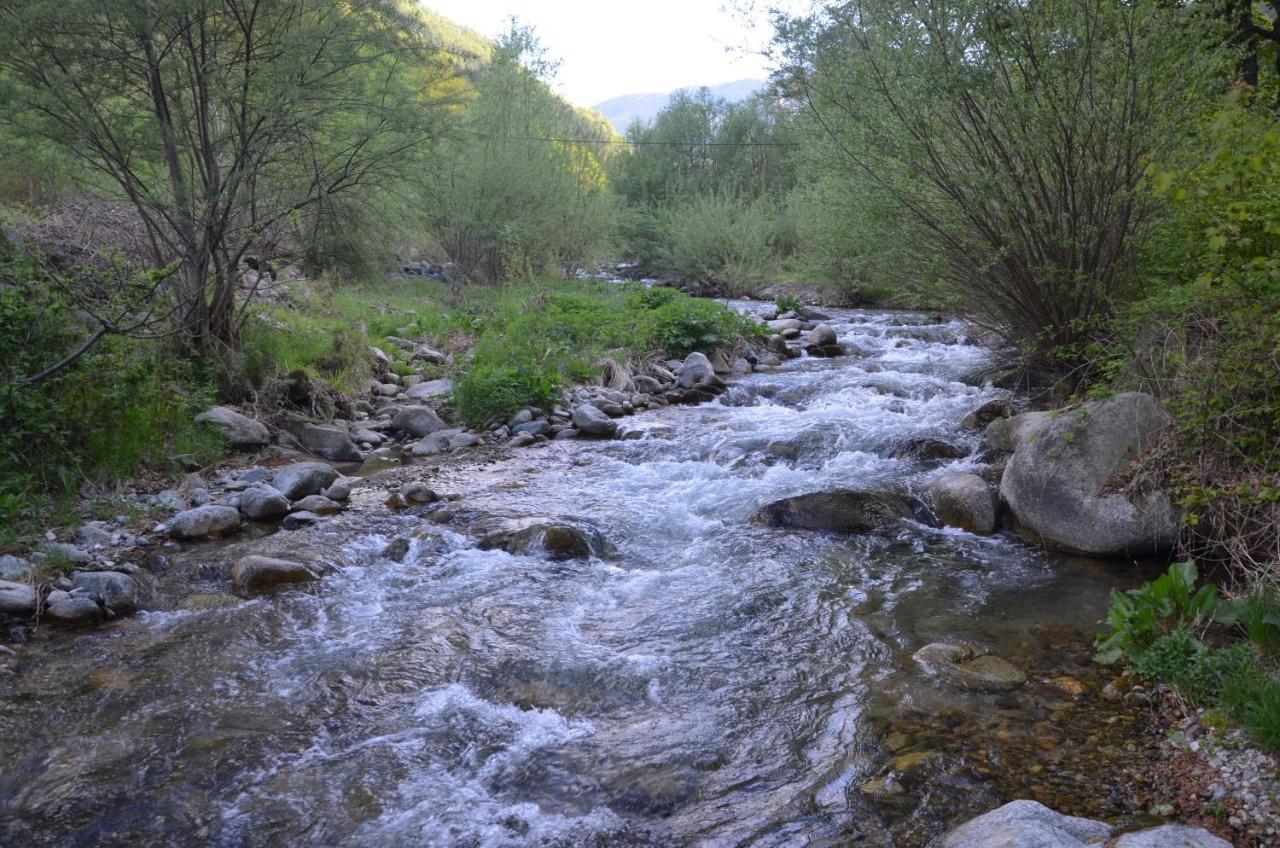 Вила Даяна Ribarica Εξωτερικό φωτογραφία