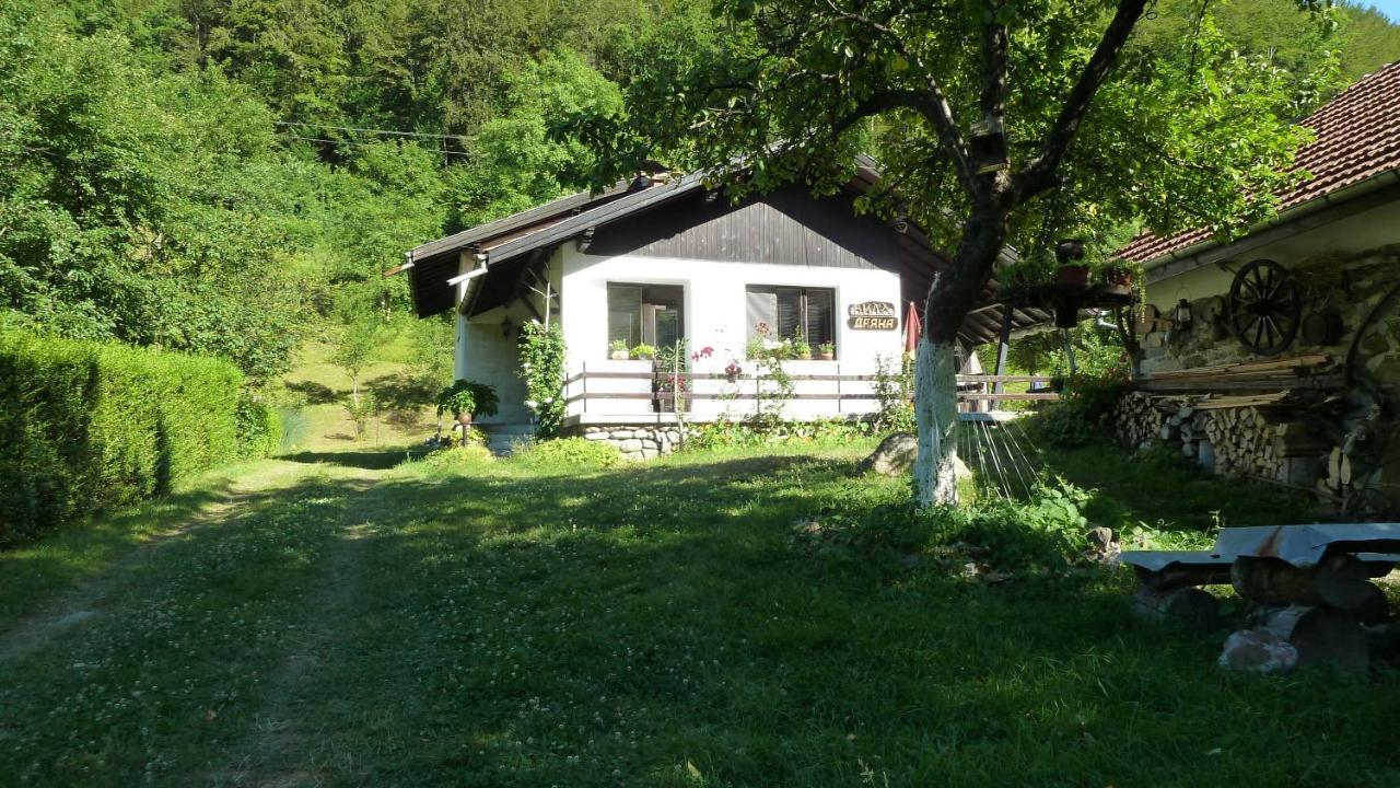 Вила Даяна Ribarica Εξωτερικό φωτογραφία