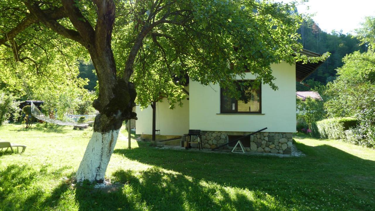 Вила Даяна Ribarica Εξωτερικό φωτογραφία