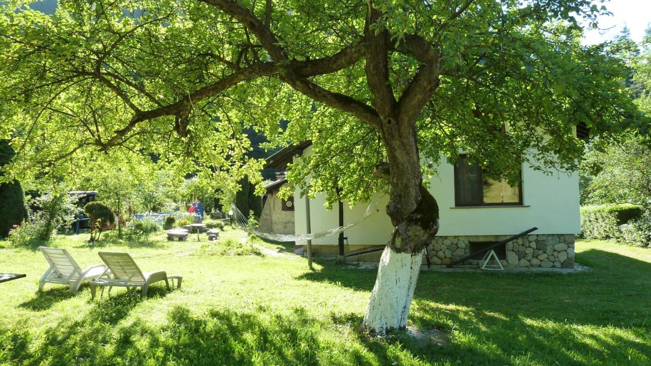 Вила Даяна Ribarica Εξωτερικό φωτογραφία